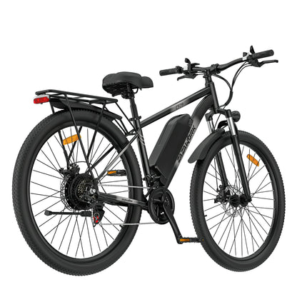 ZAZAWORK CF29 (EU) Electric Bike