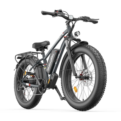 ZAZAWORK CF26 (EU) Electric Bike
