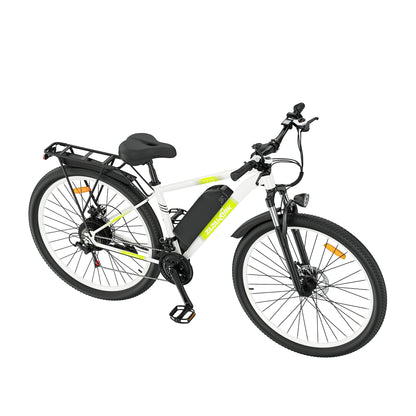 ZAZAWORK CF29 (EU) Electric Bike