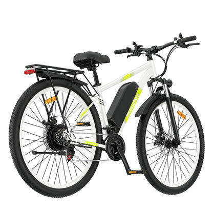 ZAZAWORK CF29 (EU) Electric Bike