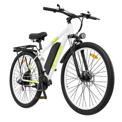 ZAZAWORK CF29 (EU) Electric Bike